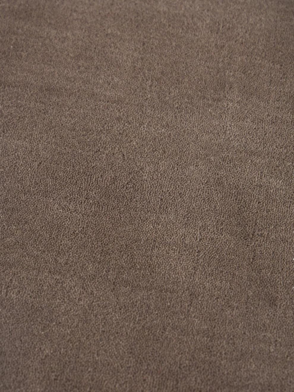 Warm Taupe Rug